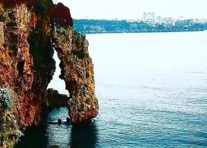Ozzy Homes Apartment Antalya