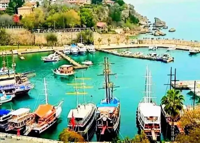 Ozzy Homes Apartment